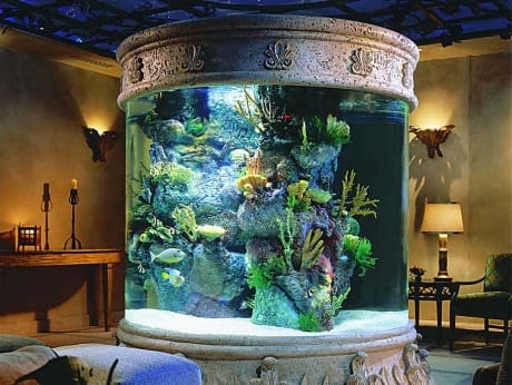 стекло для аквариума