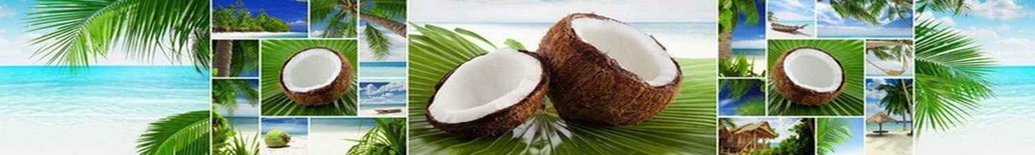 Скинали коллаж кокосы и пальмовые листья 015